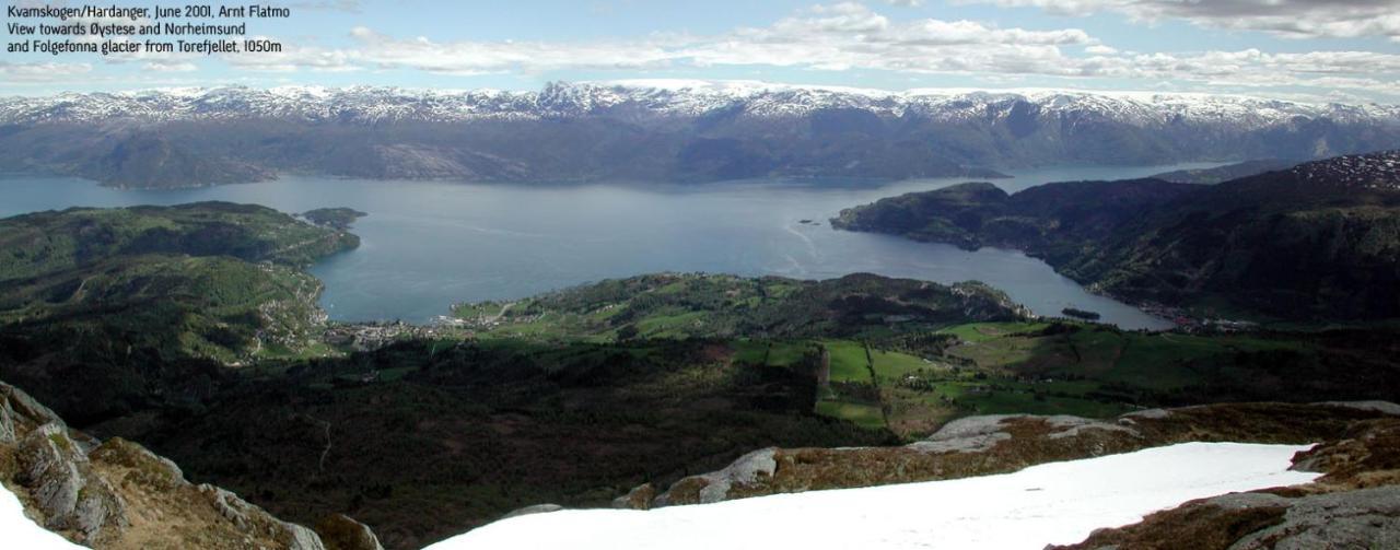 Вилла Hardanger Feriesenter Sjusete Нурхеймсунн Экстерьер фото