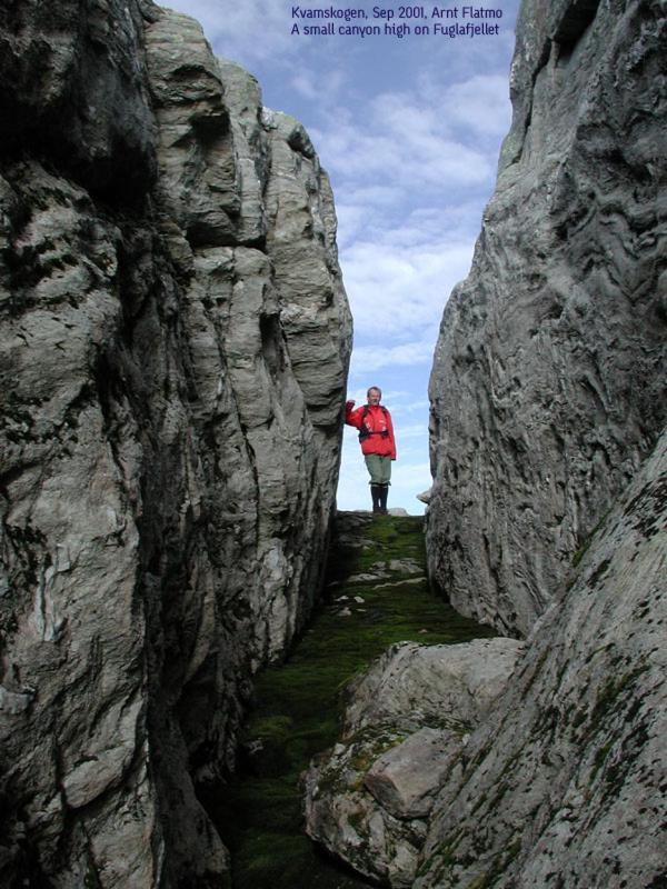 Вилла Hardanger Feriesenter Sjusete Нурхеймсунн Экстерьер фото